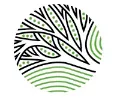Treepex logo