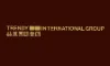 Trendy International Group logo