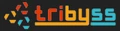 Tribyss App Solutions