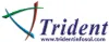 Trident Infosol
