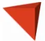 TRIGON logo