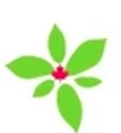 Trillium Maple Farm logo