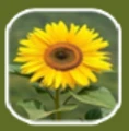Tropical Ecology