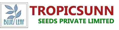 Tropicsunn Seeds