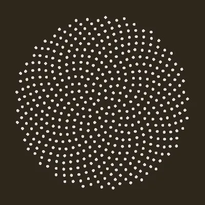 True Botanicals logo