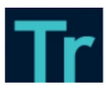 TrueHive logo