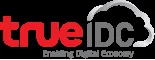 True Internet Data Center logo