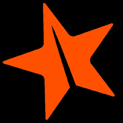 True North Service logo