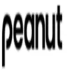 Peanut Travel logo