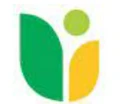 Tulip Crop Science