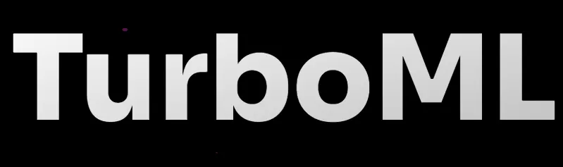 TurboML logo