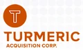 Turmeric Acquisition Corp logo