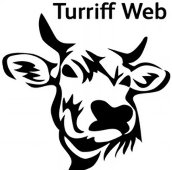 Turriff Web logo