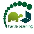 Turtle Learning logo