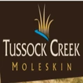 Tussock Creek logo