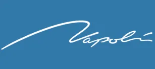 Napoli Management Group logo