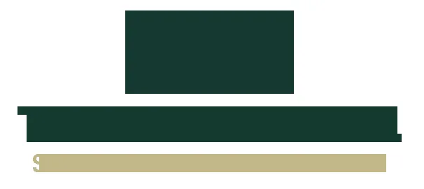 Twin & Bull logo
