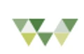 TWISE logo