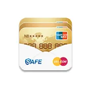 51 Credit Card logo