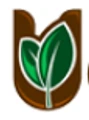 Ueir Organic Foods logo