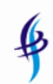 Ulises Consultancy Services