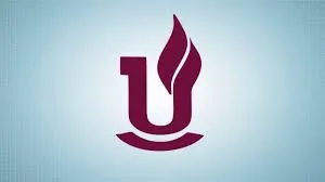 UNESC logo