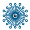 Unmanned RC logo