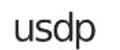 US Digital Partners logo