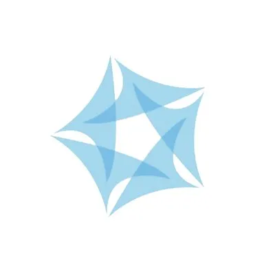 USA SHADE logo