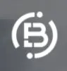 US BTC logo