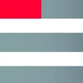 USDV logo