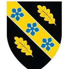 University of Wales Trinity Saint David logo