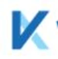 V K Venture logo