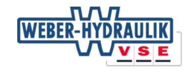 VSE logo
