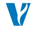 Vail Health logo
