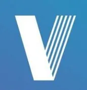 Valendo logo