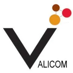 Valicom logo