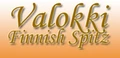 Valokki Finnish Spitz logo