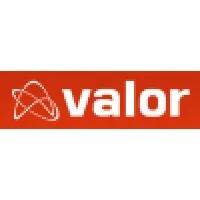 Valor logo
