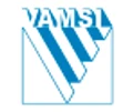 VAMSI LABS