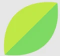Vape Forest logo