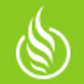 Vapestore logo