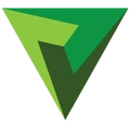 Variant Systems Group logo