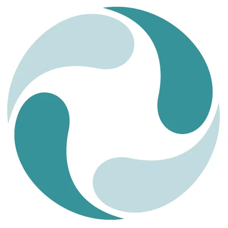 Vascular Flow logo