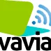 Vavia
