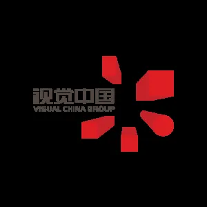Visual China Group logo