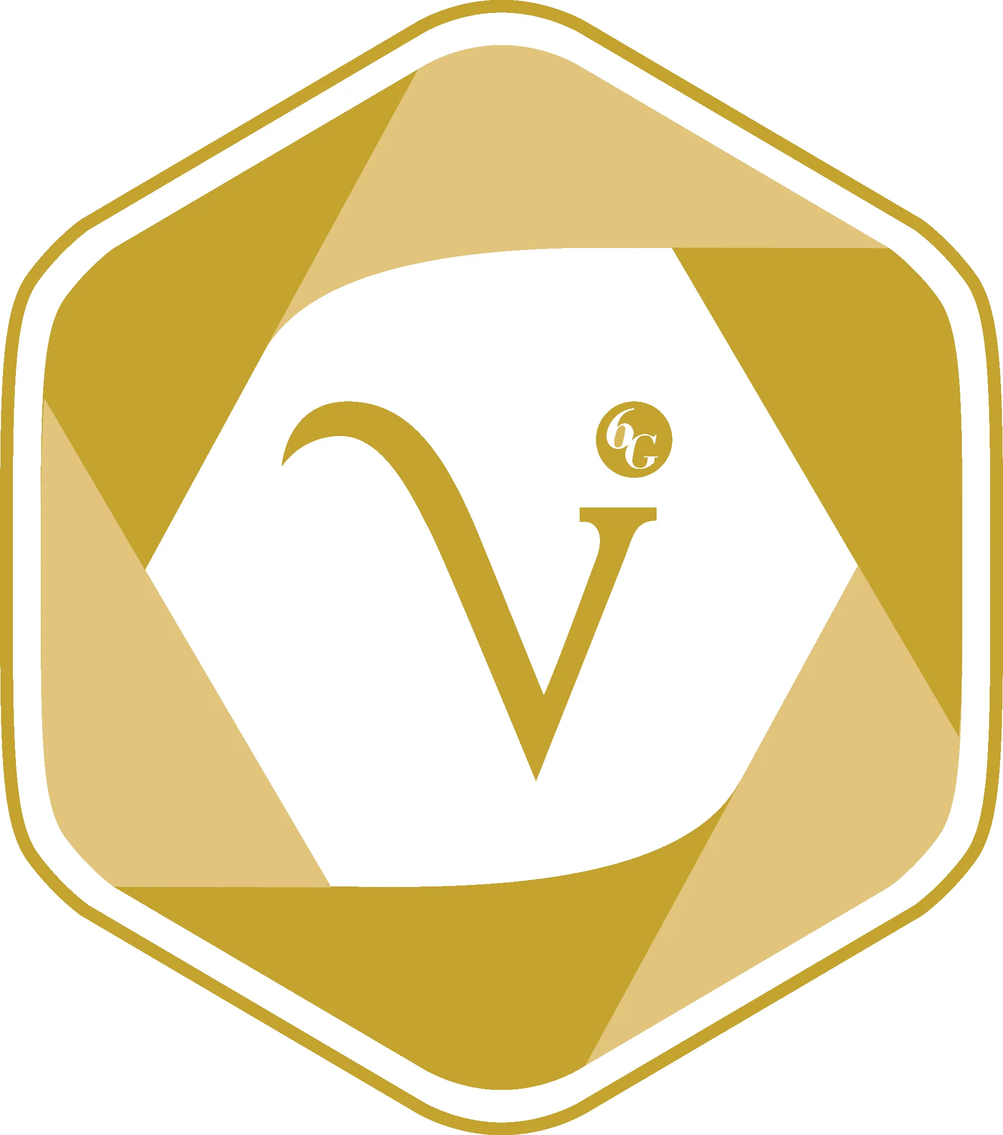 PT Victoria Care logo
