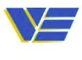 Vanguard Electronics logo
