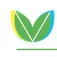 Vector Green Energy logo