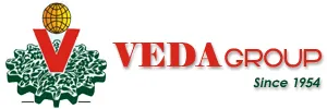 VEDA Group